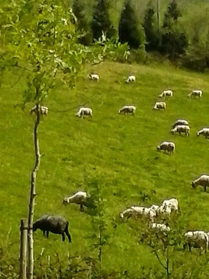 Eguzkitze Alojamiento Rural Lss00085 Abaltzisketa Spain